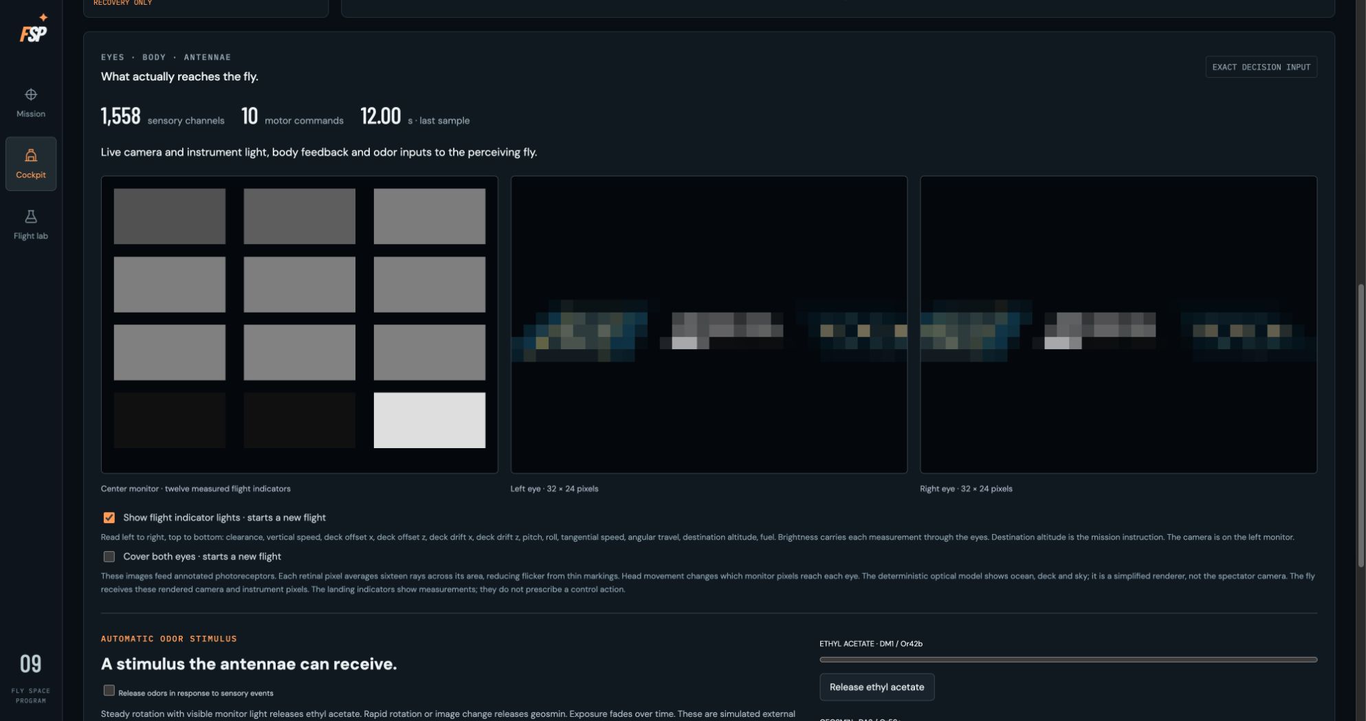 Exact visual inputs in Fly Space Program