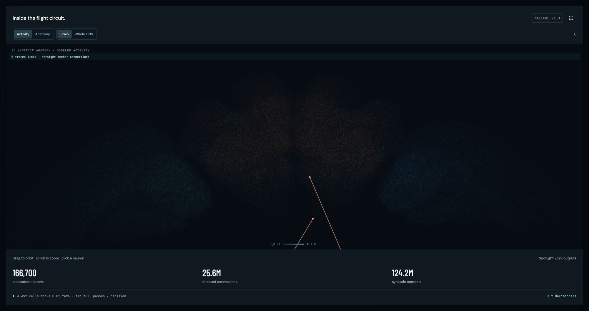 Modeled neural activity in Fly Space Program