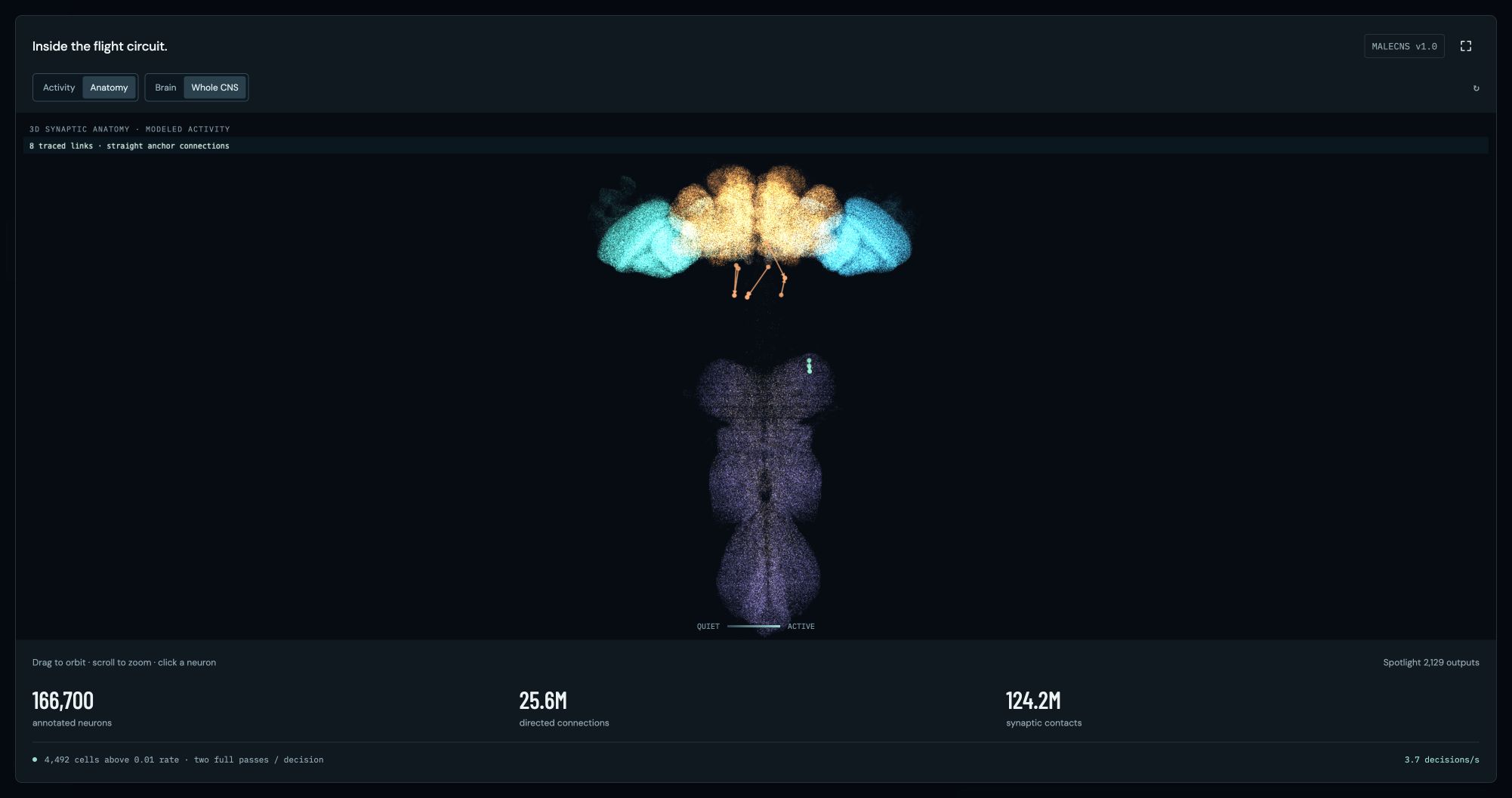 Whole central nervous system in Fly Space Program