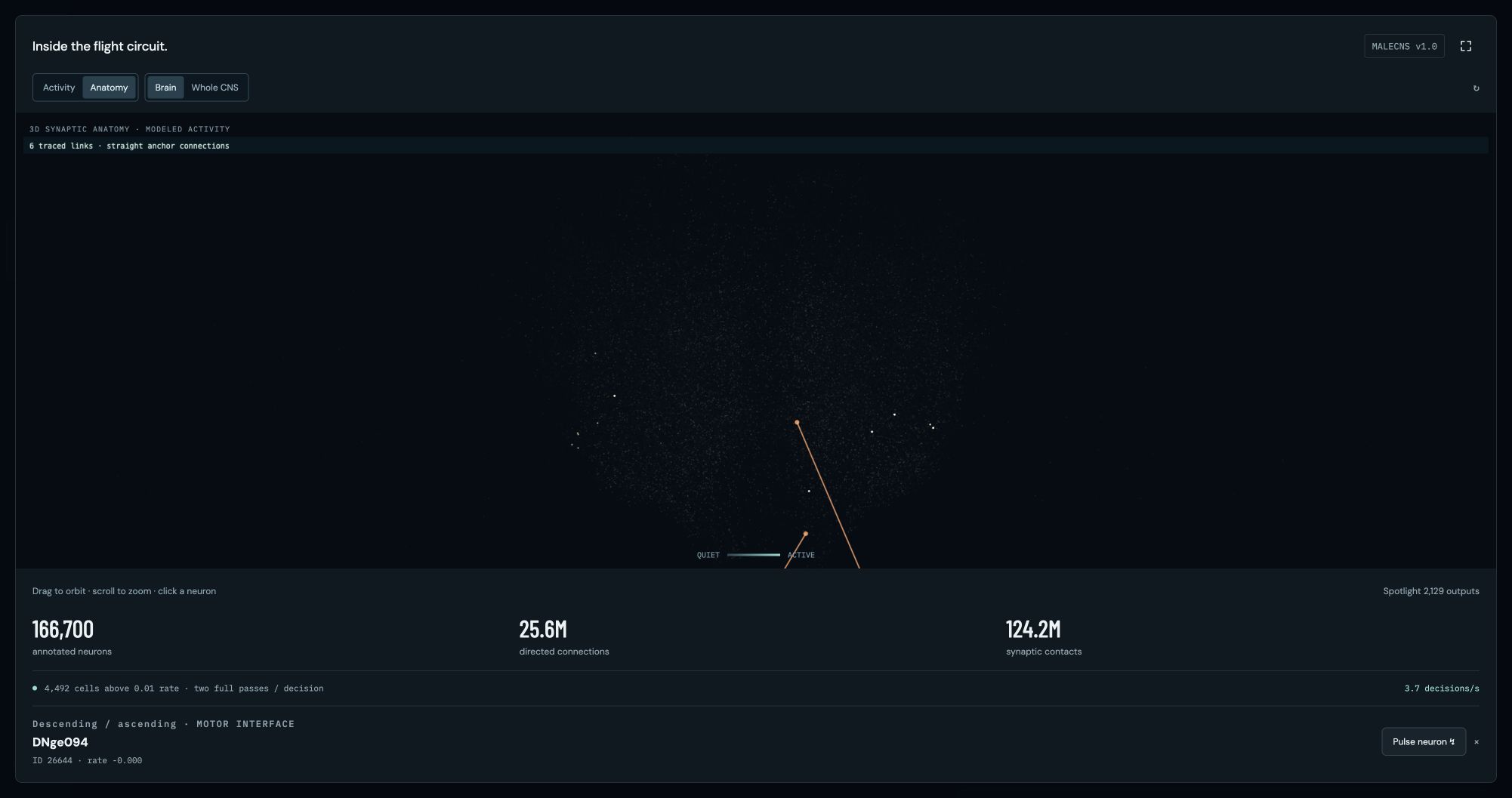 Output-neuron inspector in Fly Space Program